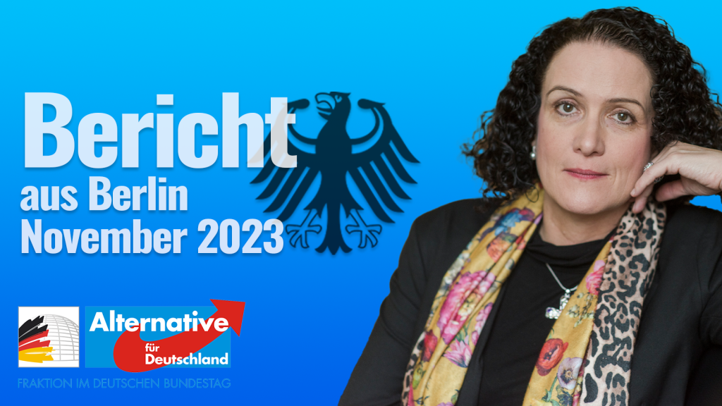 Bericht November 2023